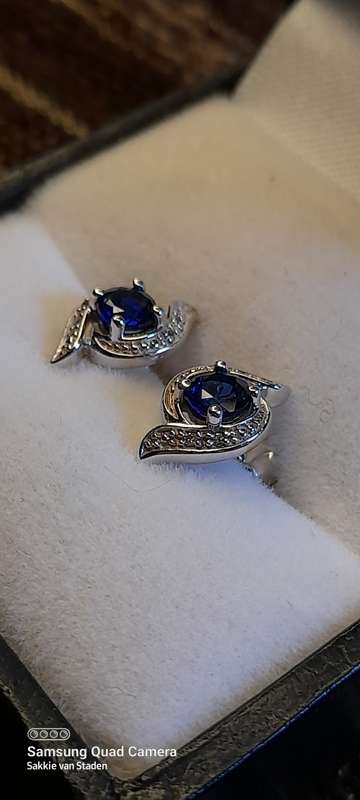 Pair of earrings