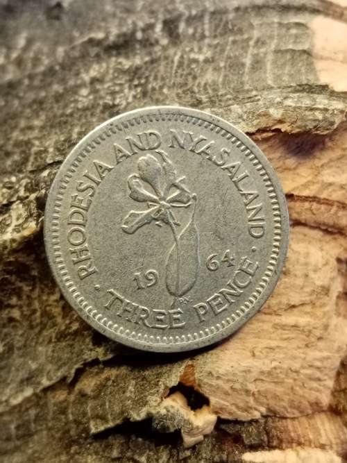 Rhodesia and Nyasaland 1964 Threepence