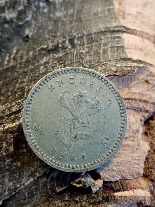 Rhodesia sixpence 5 cents 1964