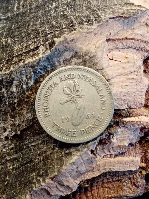 Rhodesia and Nyasaland 1964 Threepence