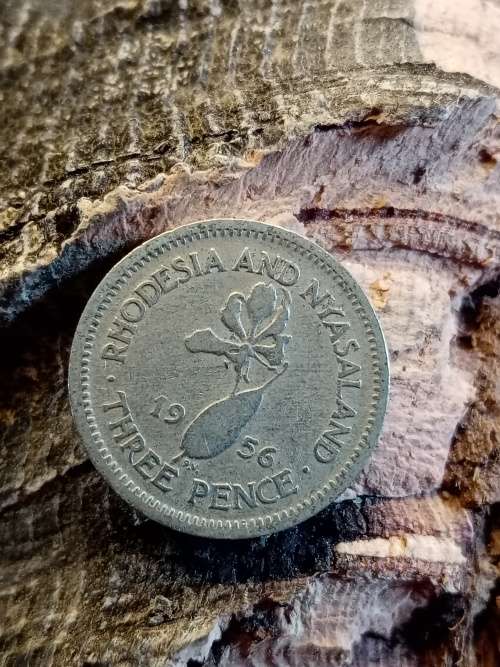 Rhodesia and Nyasaland 1956 Threepence