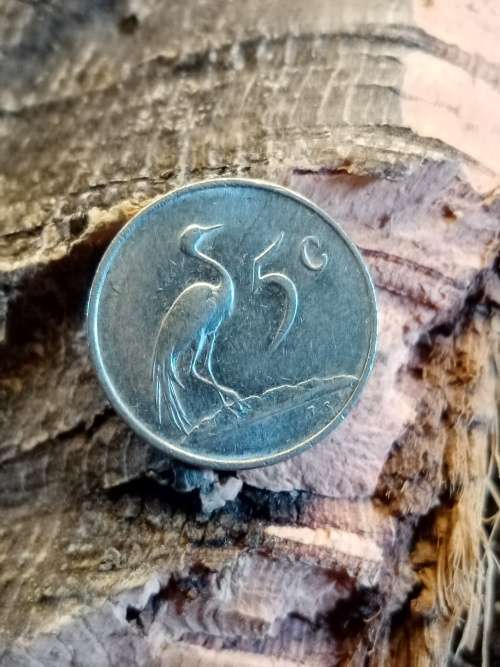 South Africa 5 cent 1981