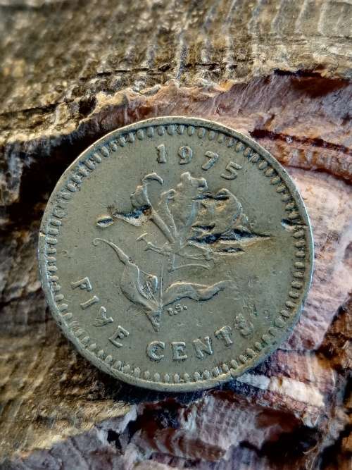Rhodesia 5 cents 1975