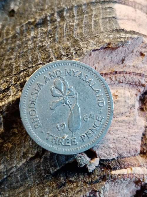 Rhodesia and Naysaland threepence 1964