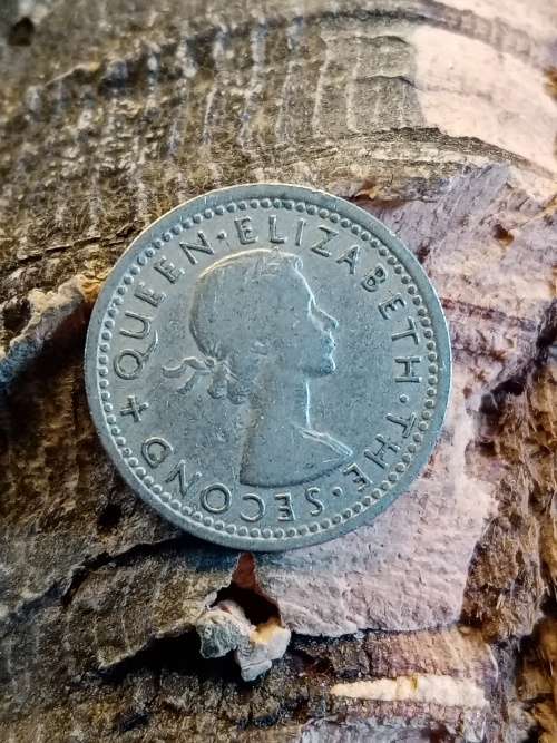 Rhodesia and Naysaland threepence 1964