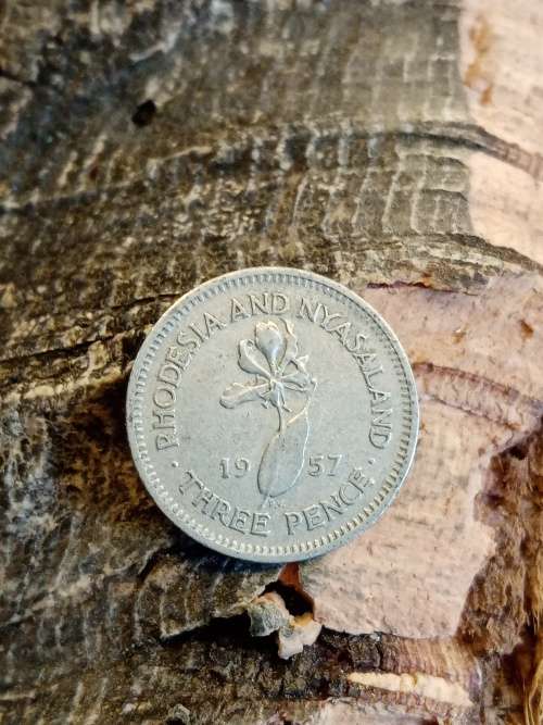 Rhodesia and Nyasaland threepence 1957