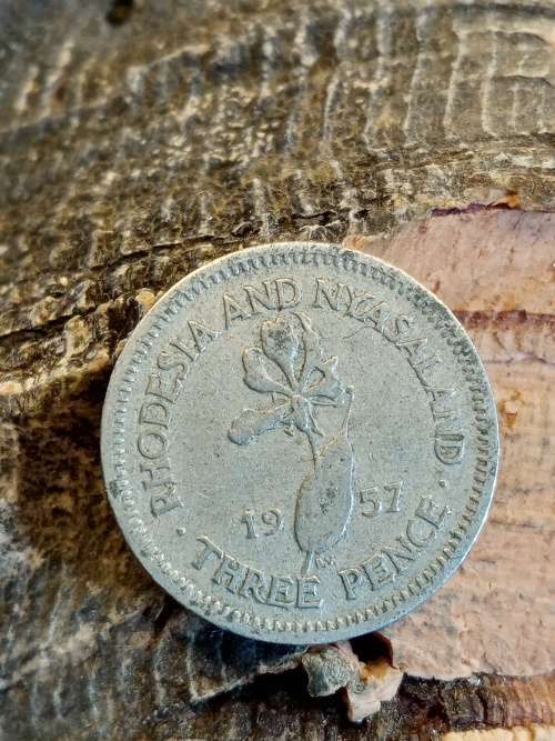 Rhodesia and Nyasaland threepence 1957