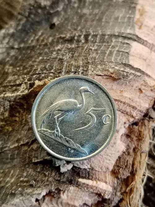 South Africa 5 cents 1988