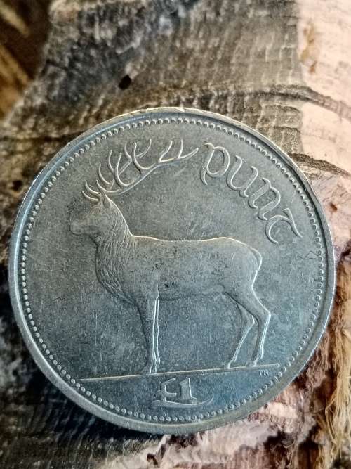 1998 Eire