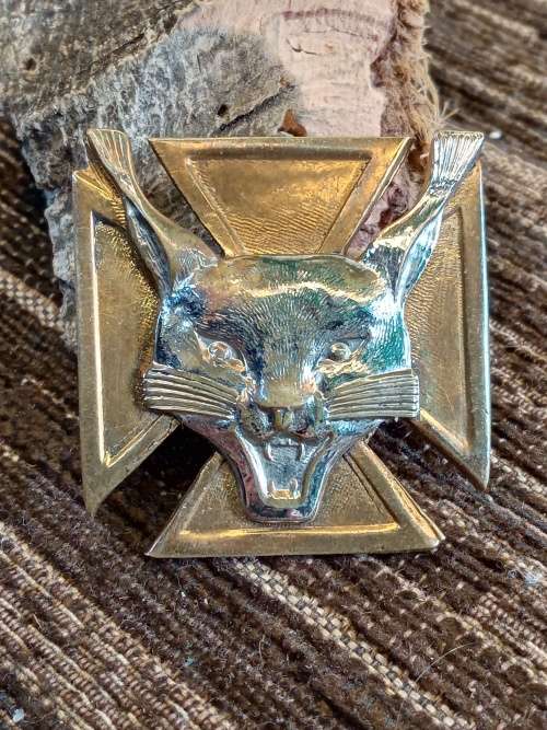 Border wall badge 1 pin missing