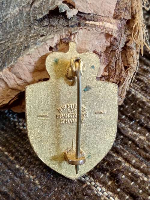 National Hospital Service Reserve badge