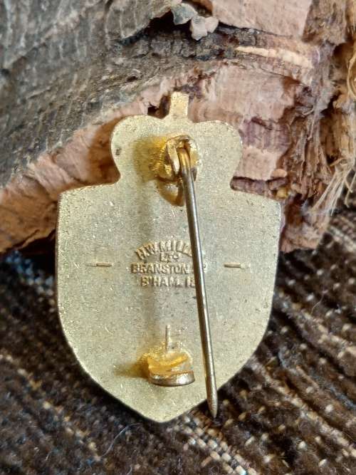 National Hospital Service Reserve badge