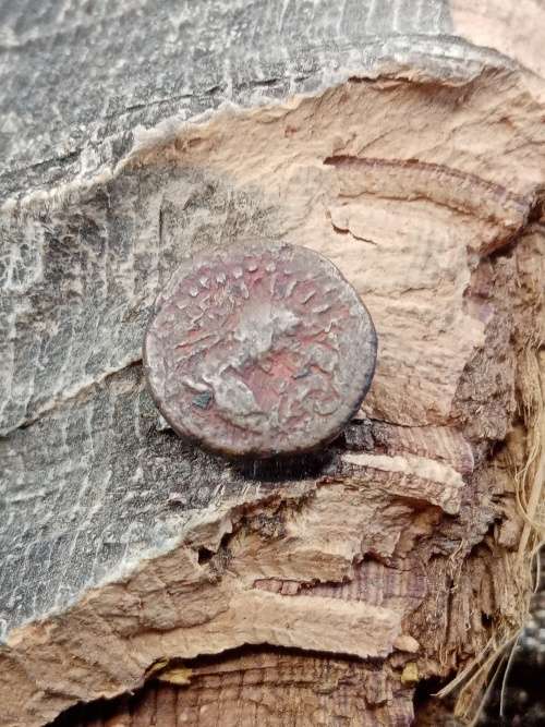 Ancient Coin Original
