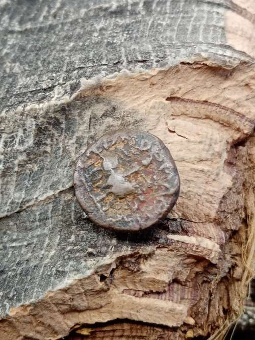 Ancient Coin Original