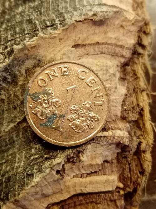 One cent 1993 Singapore