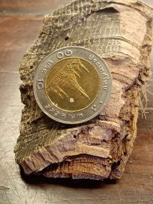 Thailand coin