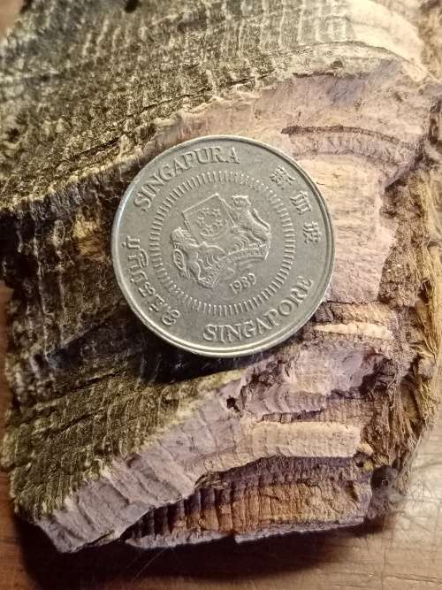 10 Cents Singapore