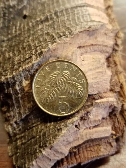 Singapore 5 cents 1997