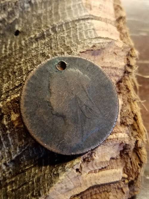 Coin