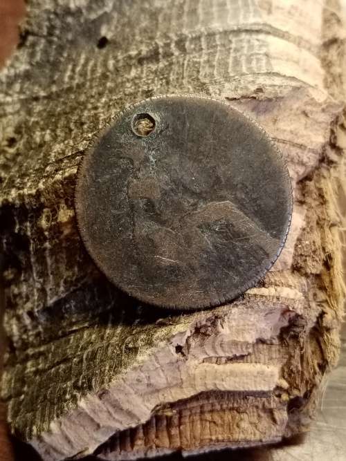 Coin