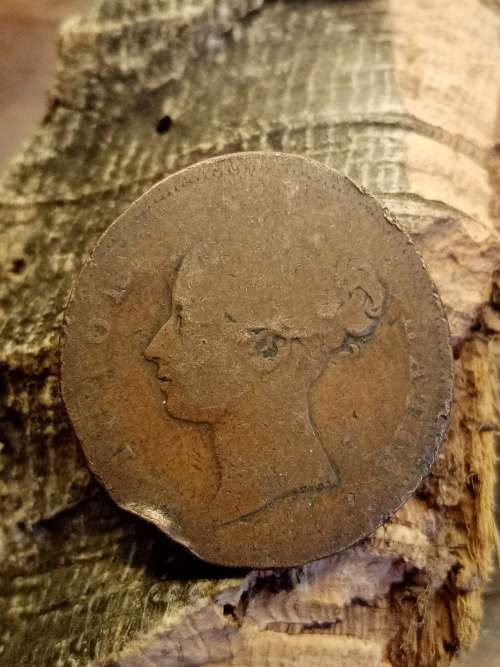 Coin