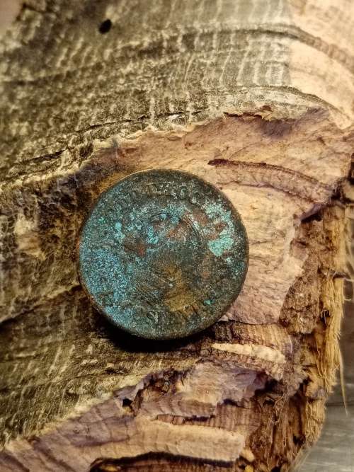 Coin