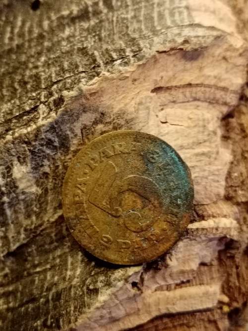 Coin