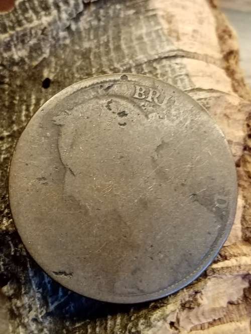 Coin