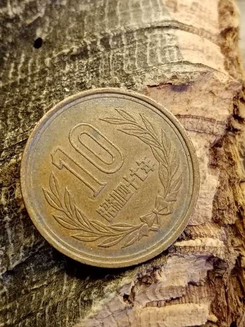 Chinese coin