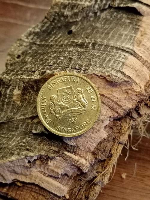 5 Cents Singapore 1989