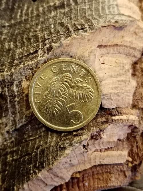 Five Cent Singapore 1989