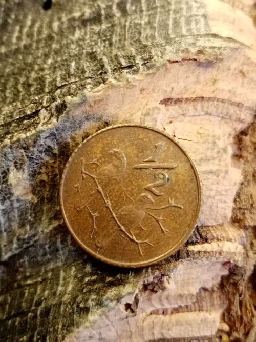 1/2 Cents 1970 South Africa