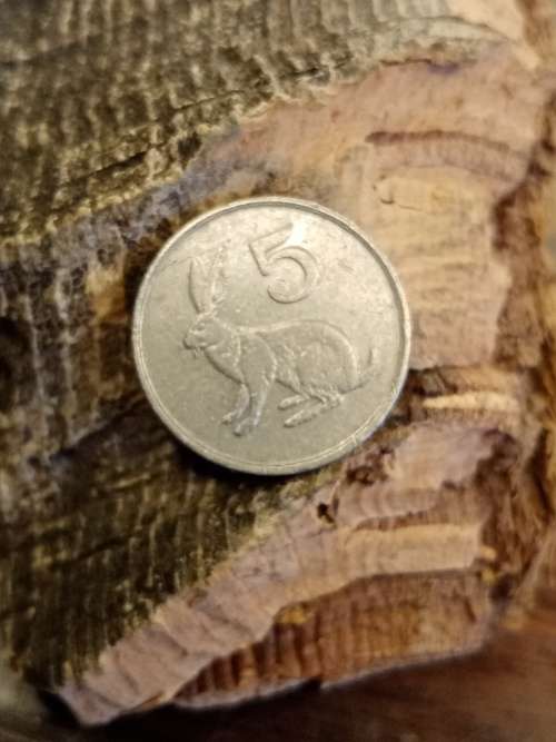 5 Zimbabwe 1996
