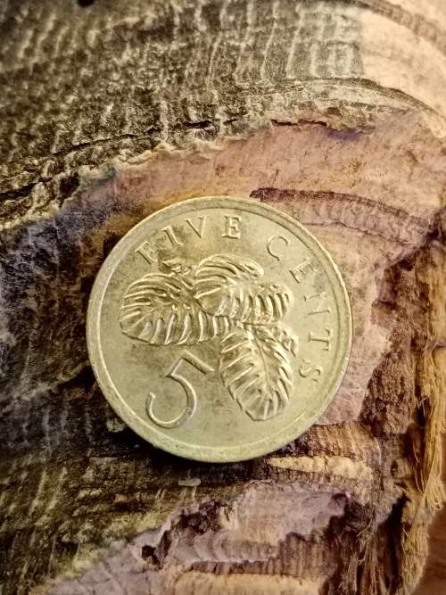 Five Cents Singapore 1990