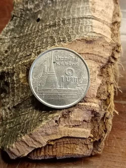 Thailand Coin