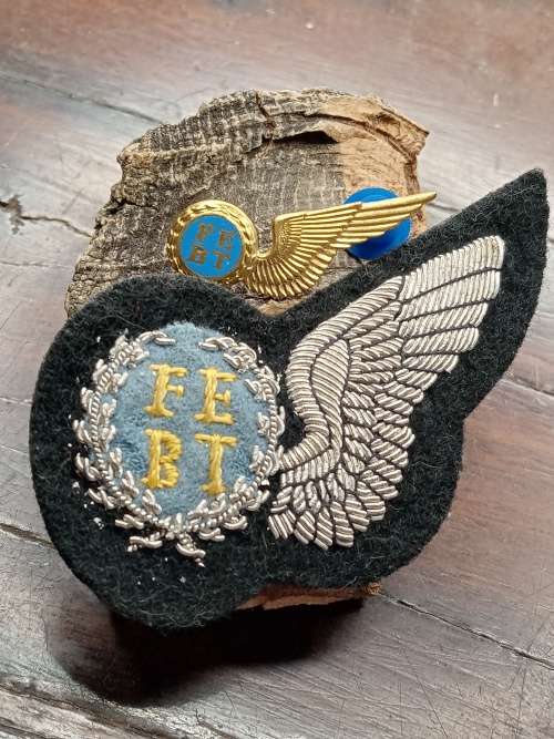 SAAF Half wings