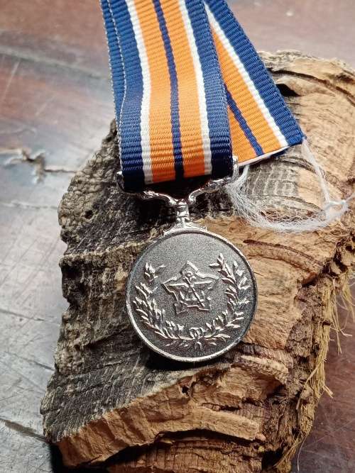 South Africa tiny Border Wall medal