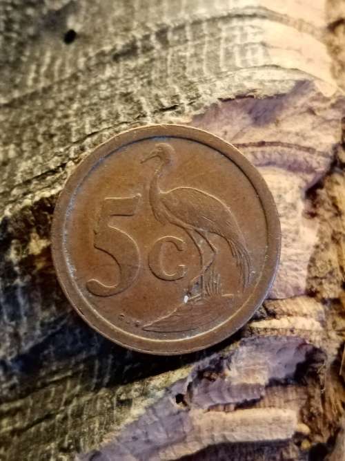 South Africa 1990 5 cent