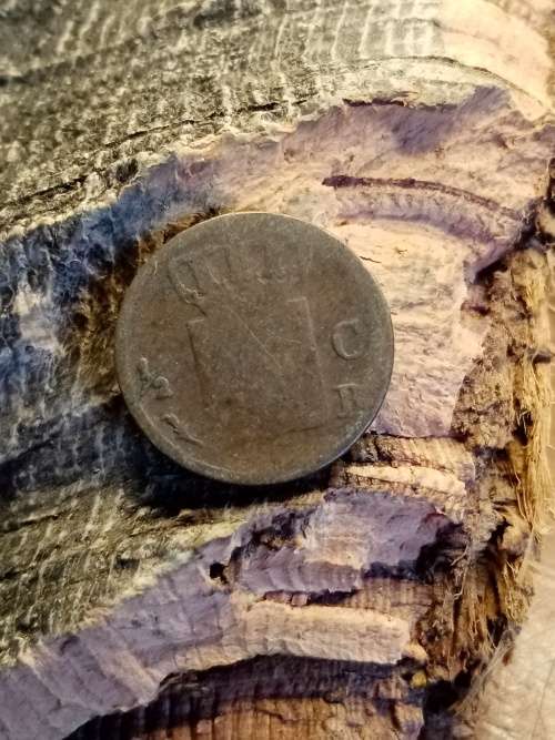 Coin