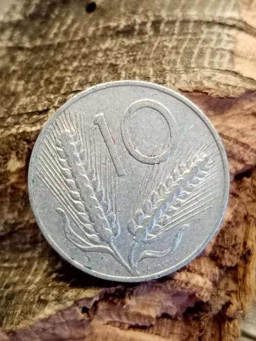 1955 coin