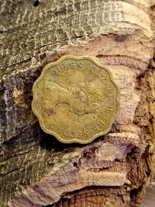 Hong Kong Twenty cents 1983