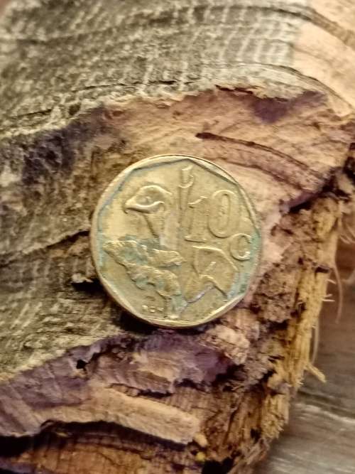 10 cents South Africa 1991