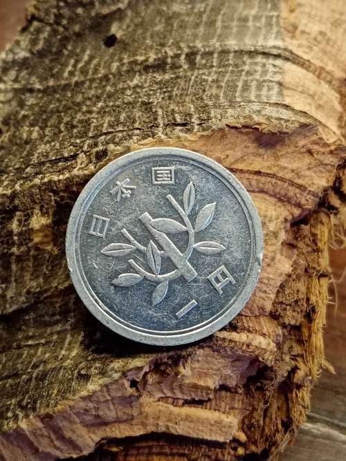 Korean coin