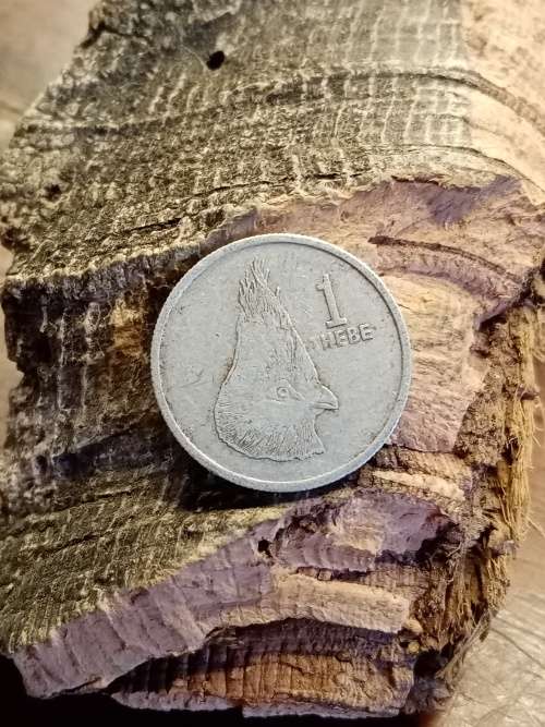 Botswana 1976 coin
