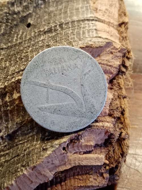 Coin