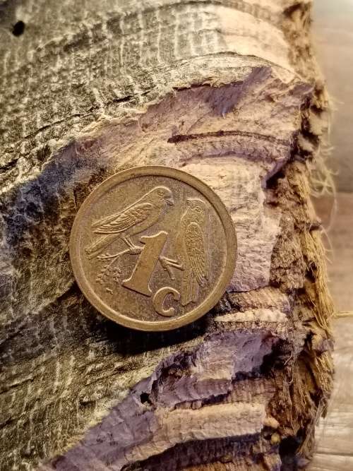 1 Cent South Africa 1991