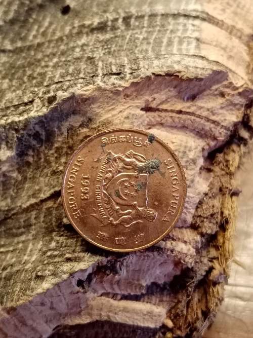 1993 Coin Singapore One cent