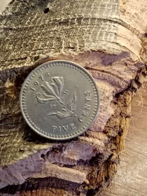 Rhodesia five cent 1976