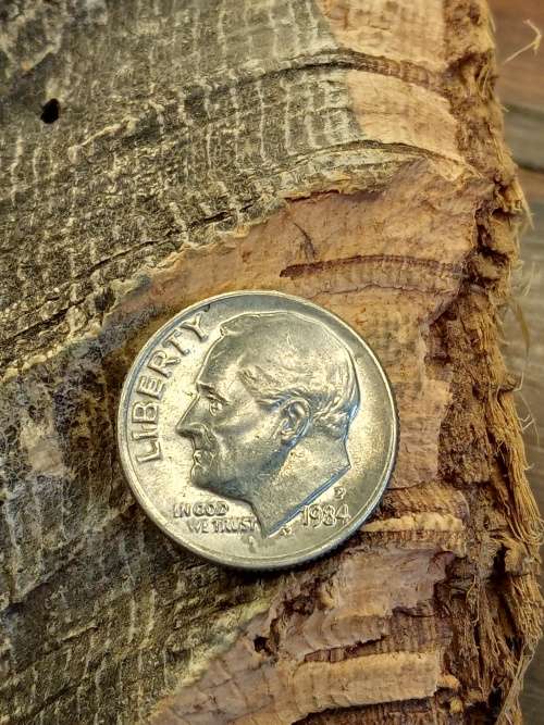 United States of America One Dime 1984