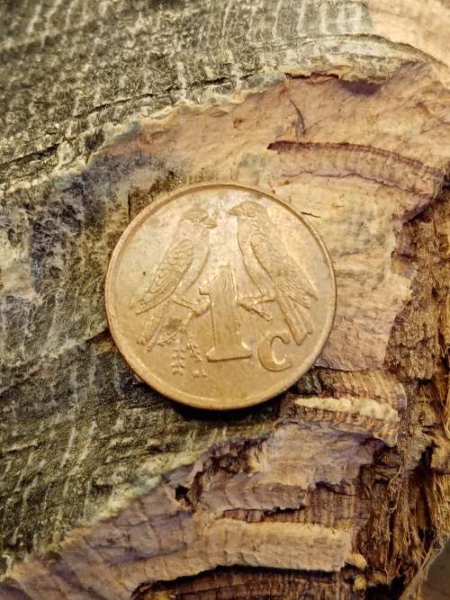 iSewula Afrika 1 cent 2000